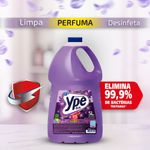 DESINF-YPE-5L-BAK-LAVANDA