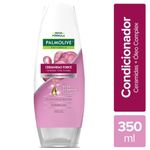 COND-PALMOLIVE-350ML-CERAMIDAS