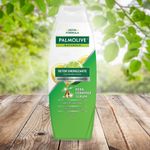 SH-PALMOLIVE-350ML-NAT-DETOX
