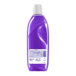 LAVA-ROUP-LIQ-OLA-1L-LAVANDA
