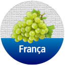 Vinhos Franceses