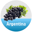 Vinhos Argentinos