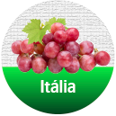 Vinhos Italianos