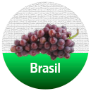 Vinhos Brasileiros