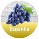 Vinhos Espanhois