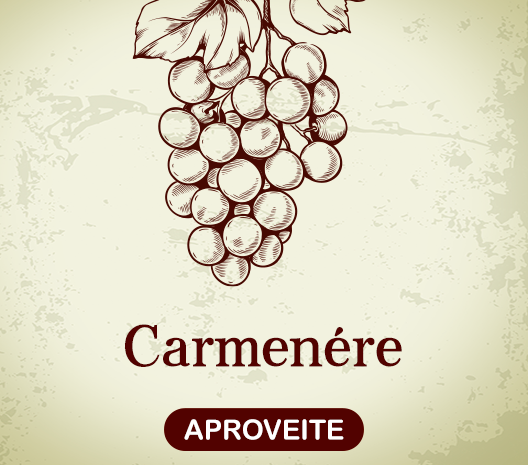 Uva Carmenére
